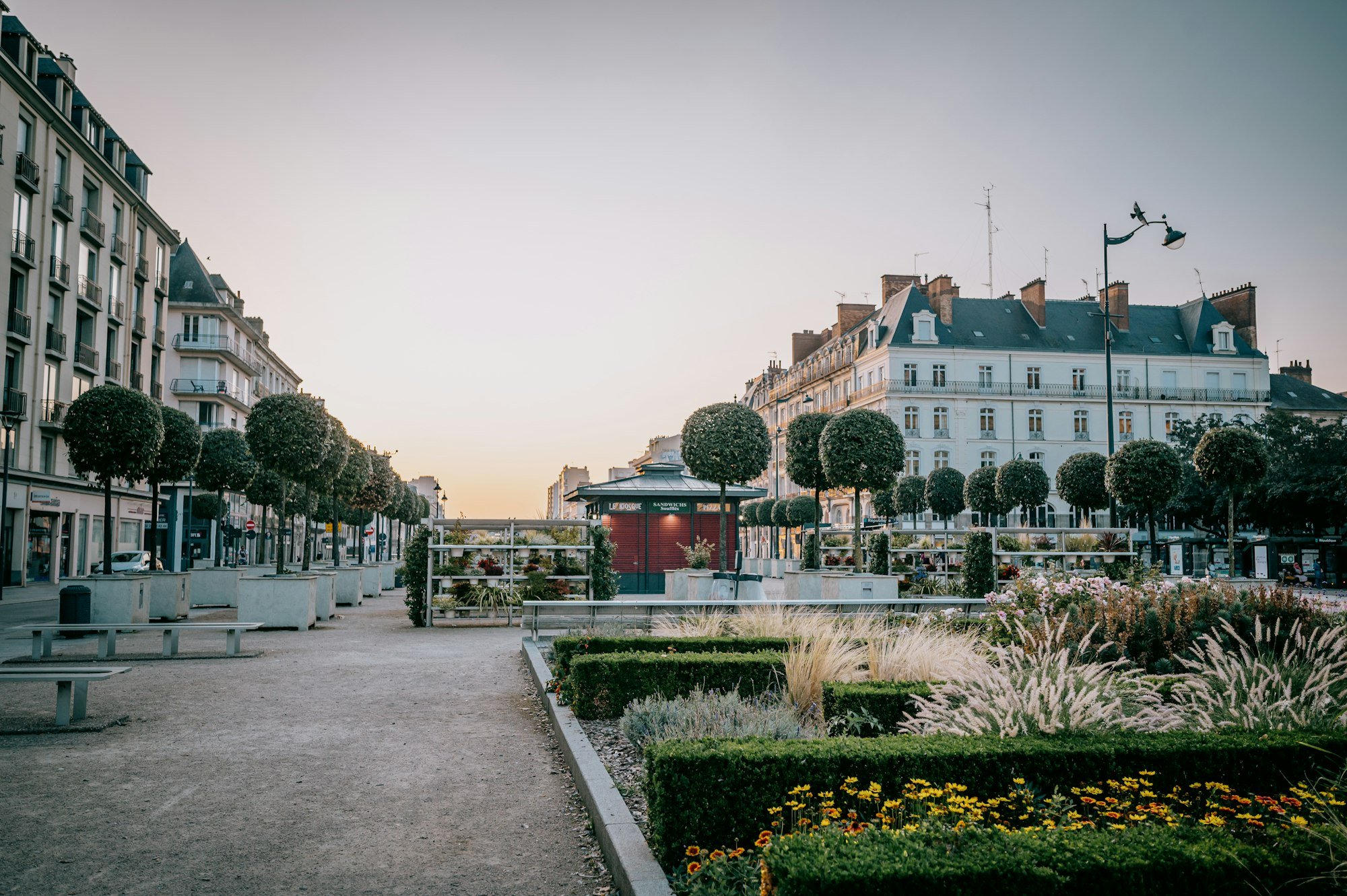 Une place plantée d’arbres taillés et de massifs, au soleil couchant
