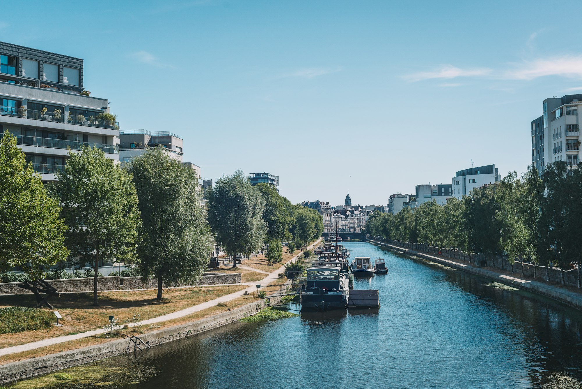La Vilaine à Rennes, entre ses quais arborés et ses immeubles, par un matin d’été